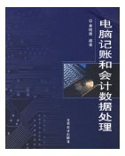 云端账本 亚马逊热评背后的电脑记账与会计数据处理革命